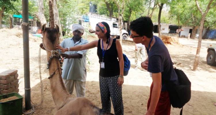 India Voluntour (Jaipur) 14D/13N - Bamba Experience