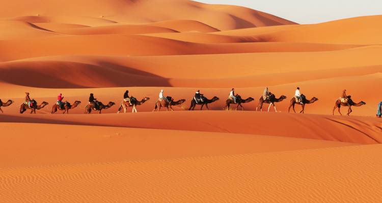 Marrakech, Sahara and Beach - 8 Days - Nomadic Tours
