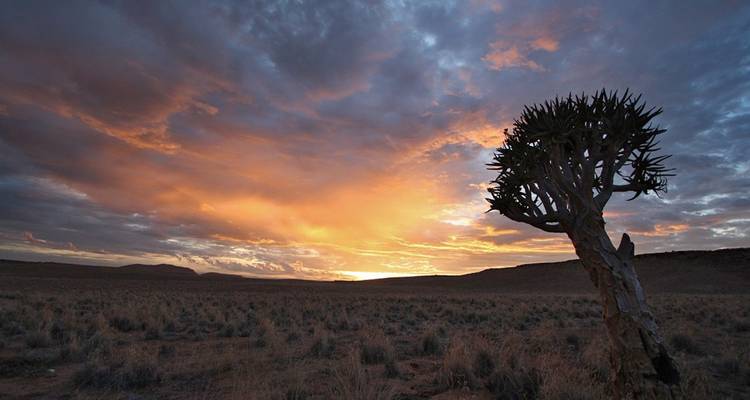 Desert Tracker 25 days - Acacia Adventure Holidays