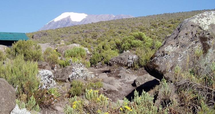 Kilimanjaro Trek - Machame Route - Moshi Start - Acacia Adventure Holidays
