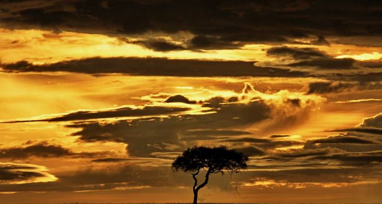 African Insight - Southbound Accommodated - Acacia Adventure Holidays
