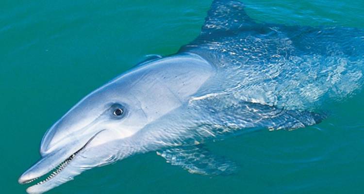 Esperance and Southwest Adventure - Intrepid Travel
