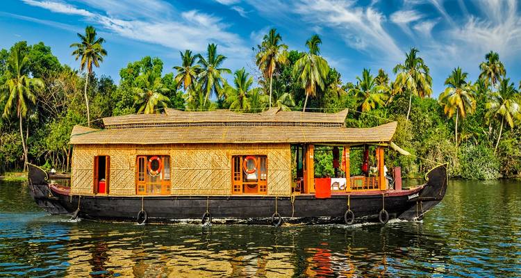 Een traditionele woonboot drijvend op een schilderachtige waterweg omzoomd met palmbomen.