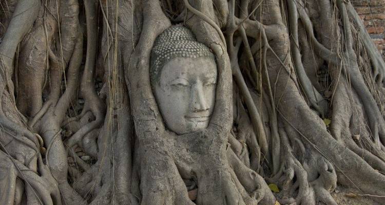 Bangkok Cultural Escape 4D/3N - Bamba Experience