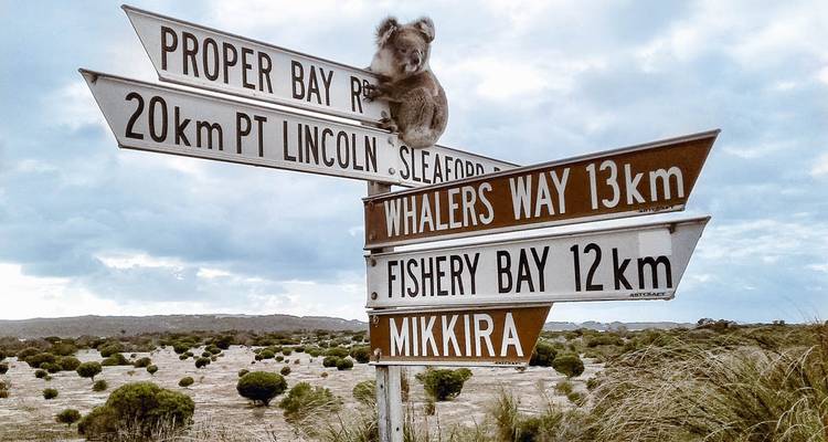 The Best of Port Lincoln & Coffin Bay - Xplore Eyre