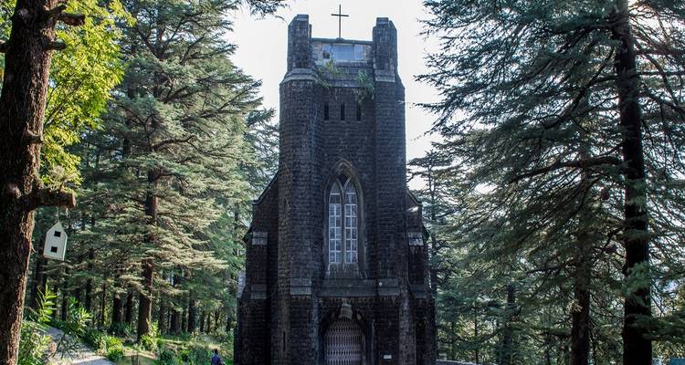 Gotische stenen kerk omgeven door bomen.