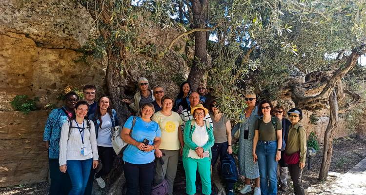 Een groep toeristen poseert onder een eeuwenoude olijfboom tijdens een uitstapje door het platteland van Sicilië.