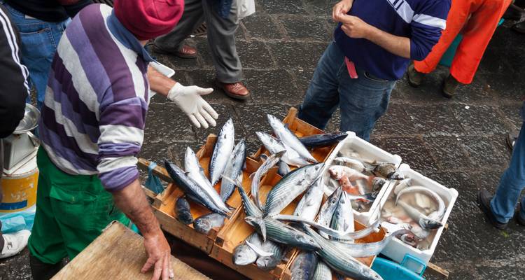 Vishandelaren onderhandelen over vers gevangen zeevruchten op een drukke Siciliaanse markt.