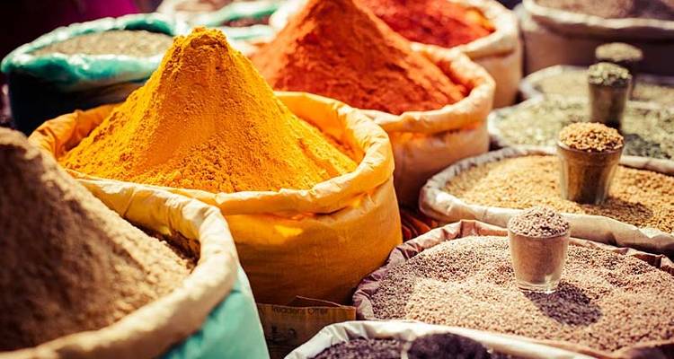 Northern India Food Adventure - Premium - Exodus Travels