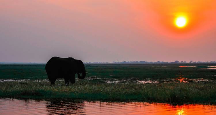 Silhouet van een olifant tegen een levendige zonsondergang boven een waterpartij.