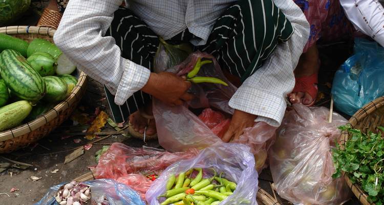 Personne triant des légumes frais et colorés sur un marché.