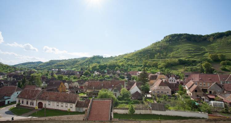 Panoramablick auf ein malerisches siebenbürgisches Dorf mit Ziegeldächern, das an einem grünen terrassierten Berghang liegt.
