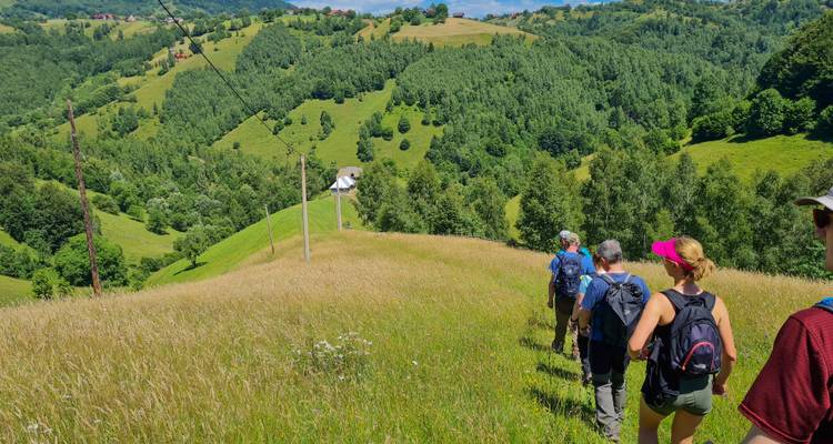 Wanderer steigen einen grünen Wiesenpfad hinab in Richtung bewaldeter Täler in ländlichem Rumänien.