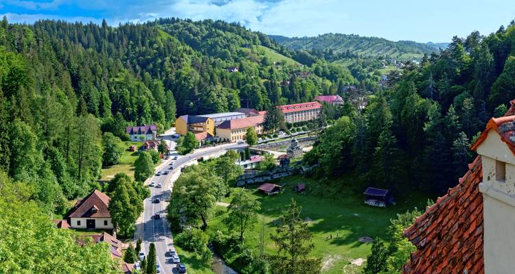 Ausgedehntes bewaldetes Tal mit kurviger Straße und sonnenbeschienenen Lichtungen, vom Hügel aus betrachtet.