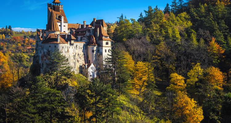 Burg Bran thront auf einem bewaldeten Hügel, umgeben von leuchtend gefärbtem Herbstlaub unter einem strahlend blauen Himmel.