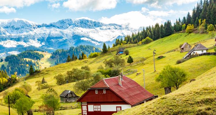 Sonnige Bergweide mit traditionellen Holzhäusern, sanft hügeligen grünen Hügeln und schneebedeckten Karpaten-Gipfeln im Hintergrund.