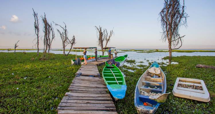 Muelle de madera con botes coloridos amarrados en un lago rodeado de plantas acuáticas al atardecer.