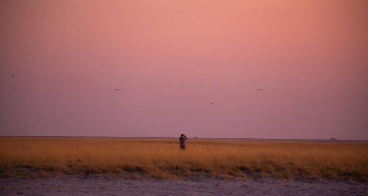 Ein einsamer Reisender, der bei Einbruch der Dämmerung in ausgedehnten goldenen Graslandschaften unter einem sanft rosa gefärbten Himmel mit fliegenden Vögeln steht.
