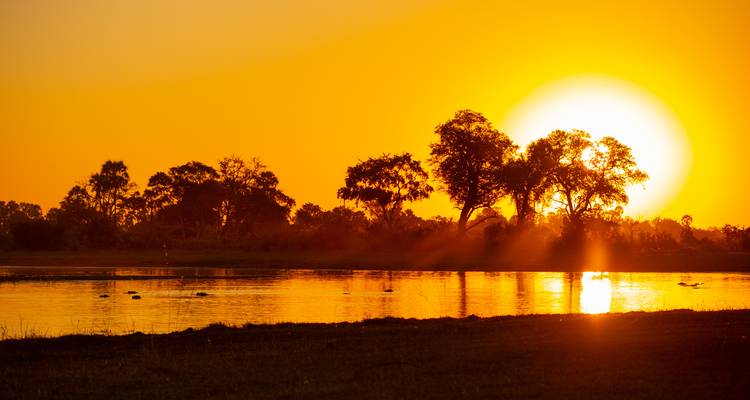 Brillanter orangefarbener Sonnenuntergang, der sich in einem ruhigen Fluss spiegelt, mit Silhouetten von Bäumen und aufsteigendem Nebel.