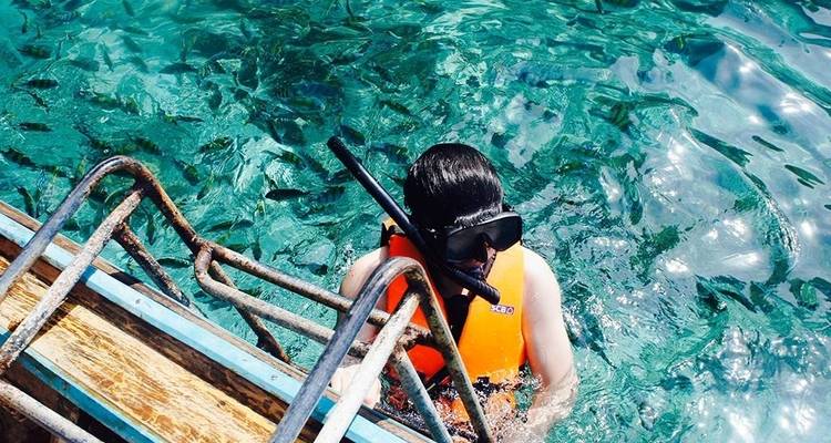 Un snorkeleur vêtu d'un gilet de sauvetage coloré et d'un masque grimpe l'échelle du bateau, entouré d'une eau cristalline fourmillant de poissons.