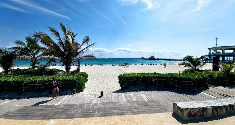 Vista de una playa de arena con palmeras y gente.