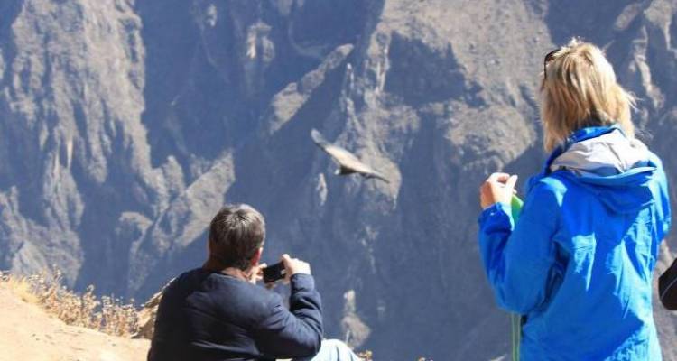 Arequipa & Colca Canyon (04 Days & 03 Nights) - Gray Line Peru