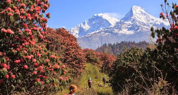 Annapurna Discovery Trek Nepalese Himalayas - Solo Travellers Group Holidays