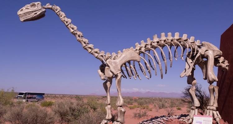 Northern Route 40 - A road trip through Northwestern Argentina - Mendoza to Salta - Viva Expeditions
