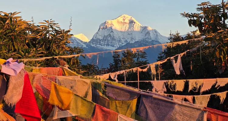 La lumière dorée du lever de soleil baigne un sommet himalayen au-delà de couches de drapeaux de prière flottants.