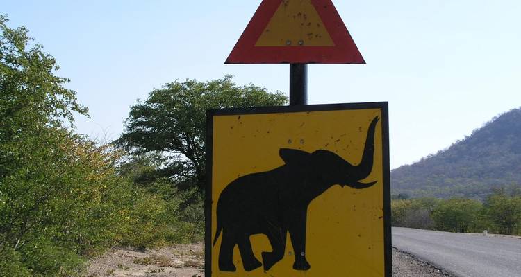 Panneau routier avertissant de la présence d'éléphants.