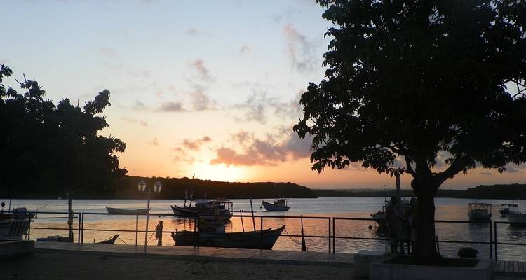 Vista del atardecer sobre una bahía con barcos y siluetas de árboles.