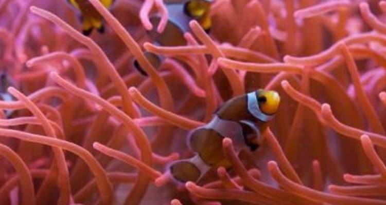 Rock to Reef Overland (ex Yulara) - Intrepid Travel