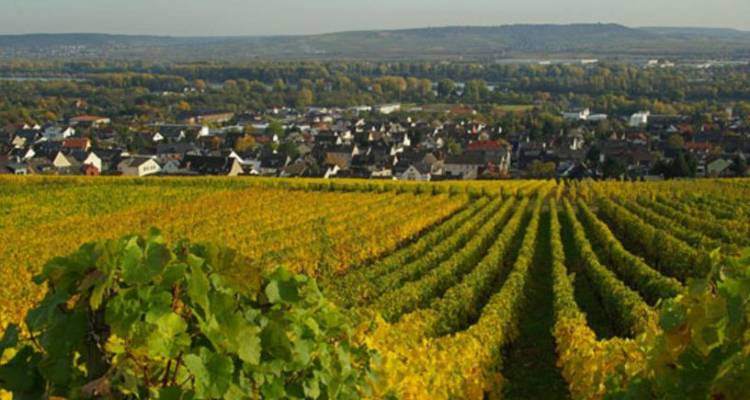 Magnificent Europe – Eastbound 2018 - Avalon Waterways