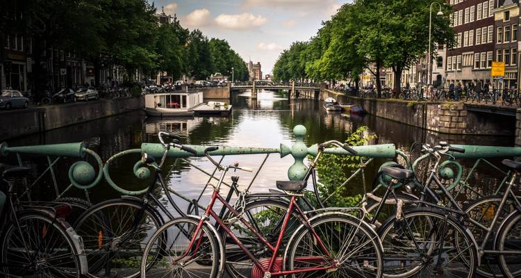 Rhine & Rhône Revealed for Wine Lovers – Cruise Only (from Amsterdam to Arles) - Avalon Waterways