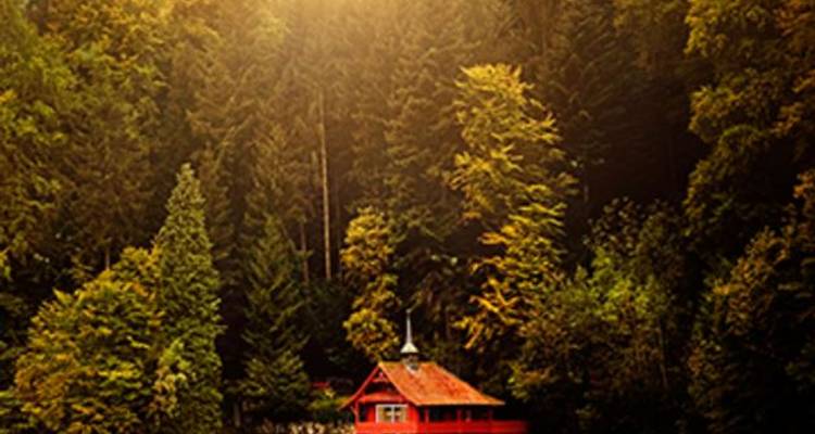 Festive Time on the Romantic Rhine with Lucerne Extension – Northbound - Avalon Waterways