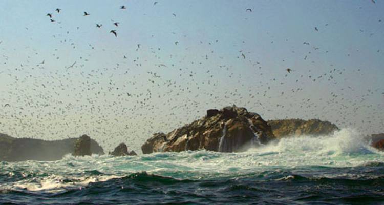 Nazca, Huacachina & Ballestas - Tucan Travel
