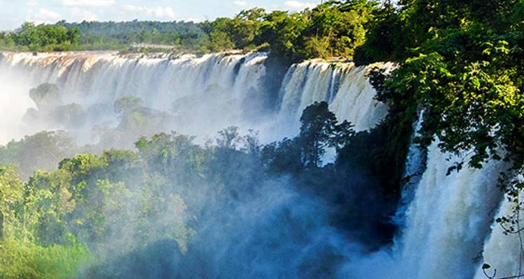 Grand South America (Luxury Gold - Summer 2018) - Luxury Gold