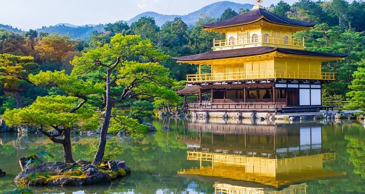 Highlights of Japan Tour 6 Days - Japan Deluxe Tours