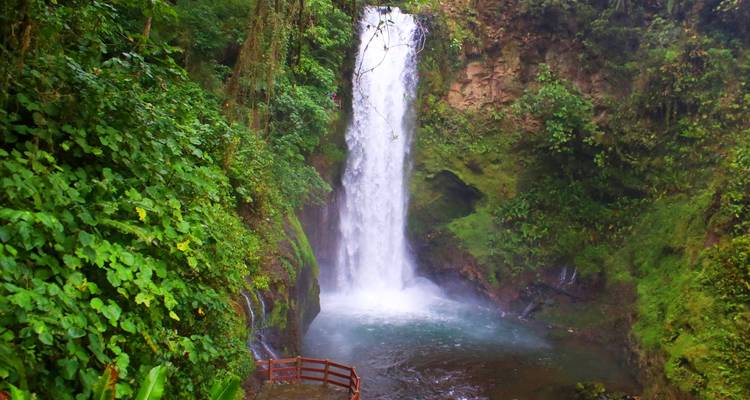 Jewels of Costa Rica - Costa Rica Monkey Tours