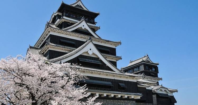 Japan Cherry Blossom Tour - 9 Days Essence of Spring | Hiroshima - Japan Deluxe Tours