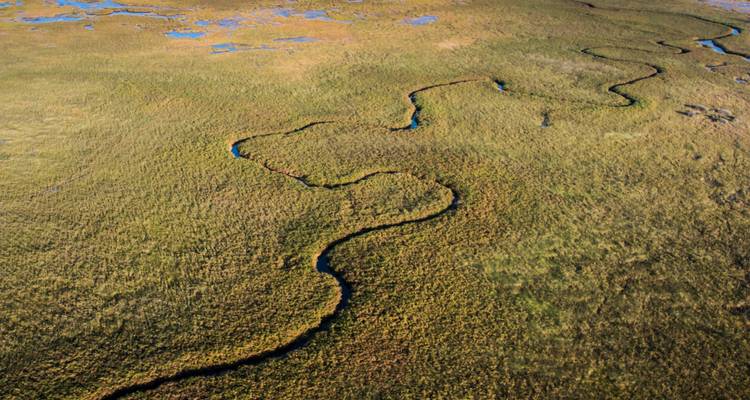 Vue en plongée d'une vaste zone humide avec un canal sinueux discret traversant des herbes dorées