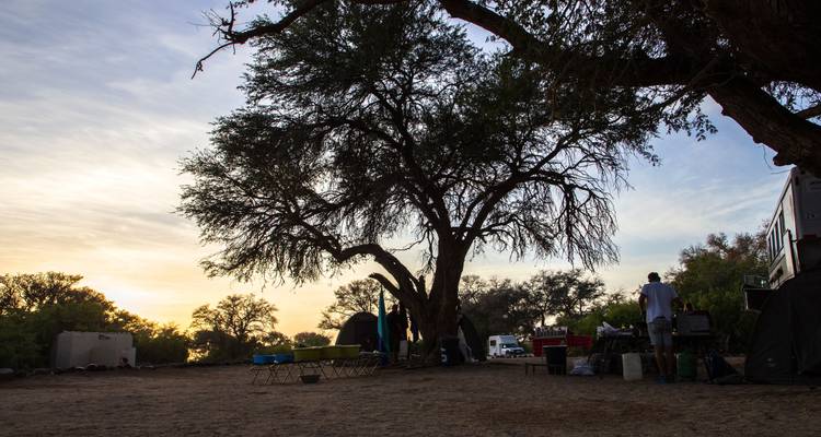 Kampeerplaats onder een grote boom bij zonsondergang met tenten en kampeeruitrusting.