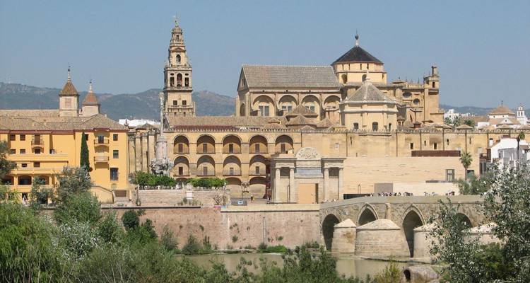 Historische brug met uitzicht op de stad en de rivier.