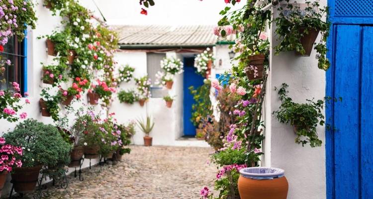 Un patio colorido con flores y arquitectura tradicional.