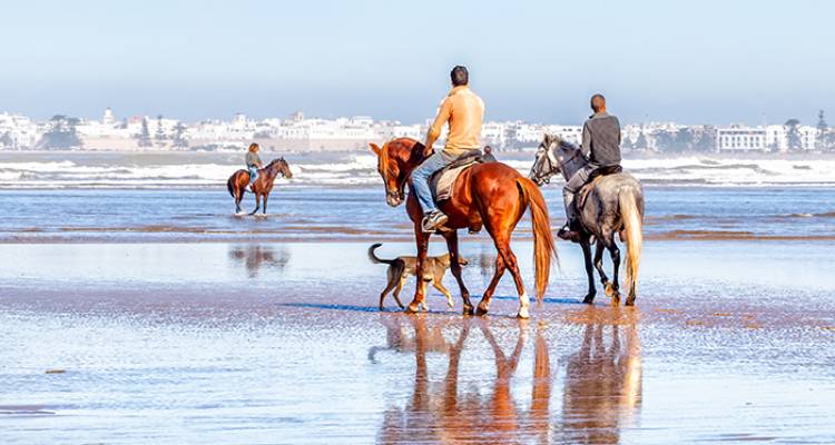 Morocco: Hike, Bike & Horse Ride - Intrepid Travel