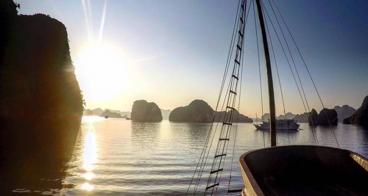 Discover Vietnam - Bamboo