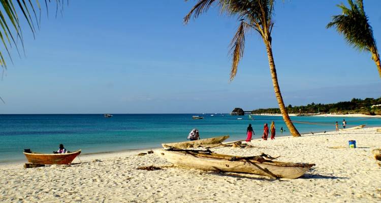 Game Parks and Gorillas Accommodated - Acacia Adventure Holidays