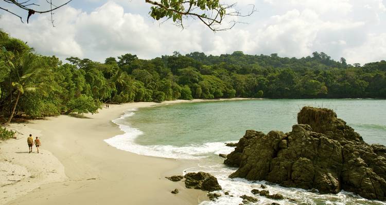 Plage isolée, verdure luxuriante et eau claire.