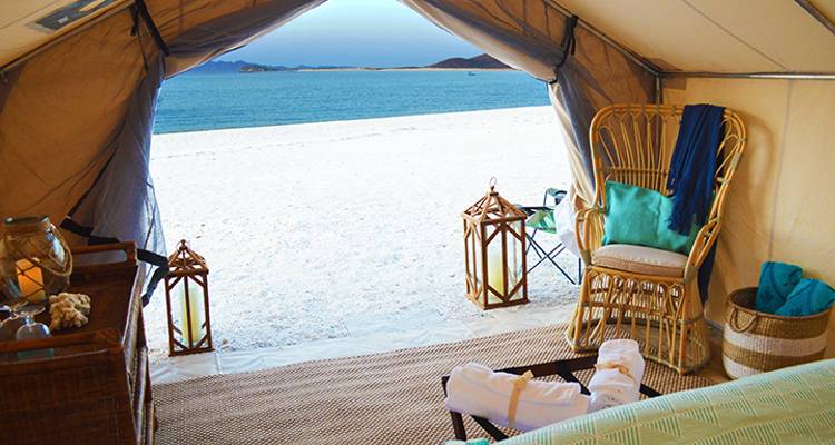 Glamping on Isla Espiritu Santo National Marine Park at Camp Cecil, 3 days, 2 nights - Todos Santos Eco Adventures