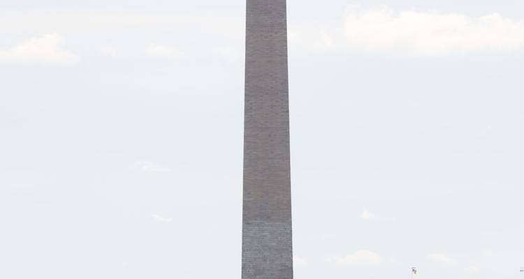 Le Monument de Washington s'élevant dans un ciel bleu.
